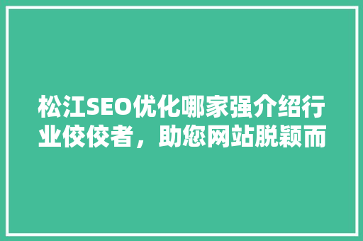 松江SEO优化哪家强介绍行业佼佼者，助您网站脱颖而出 百度SEO
