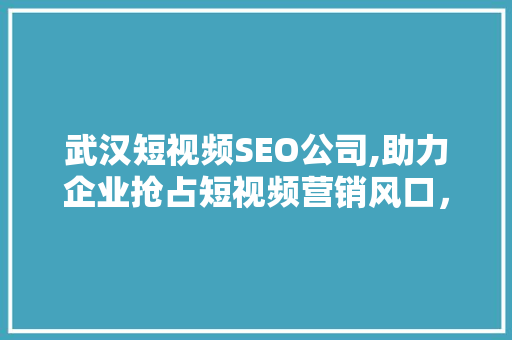 武汉短视频SEO公司,助力企业抢占短视频营销风口，实现品牌新突破 SEO关键词