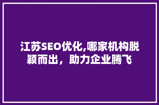 江苏SEO优化,哪家机构脱颖而出，助力企业腾飞