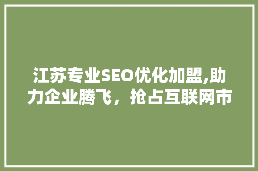 江苏专业SEO优化加盟,助力企业腾飞，抢占互联网市场先机 百度SEO