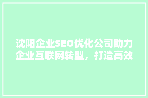 沈阳企业SEO优化公司助力企业互联网转型，打造高效网络营销步骤 百度SEO