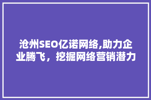 沧州SEO亿诺网络,助力企业腾飞，挖掘网络营销潜力 网站建设公司