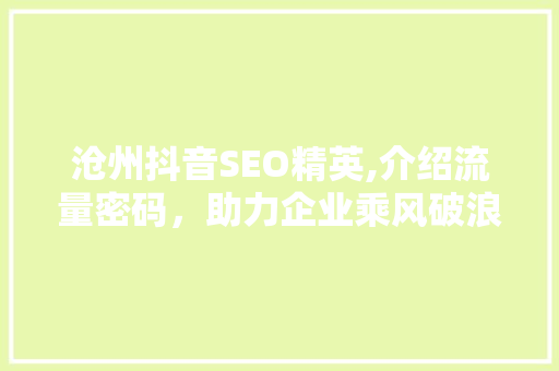 沧州抖音SEO精英,介绍流量密码，助力企业乘风破浪 搜狗SEO