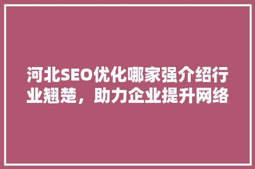 河北SEO优化哪家强介绍行业翘楚，助力企业提升网络竞争力 网站建设公司