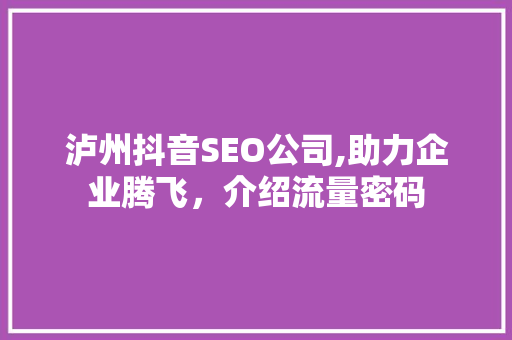 泸州抖音SEO公司,助力企业腾飞，介绍流量密码 网站建设公司