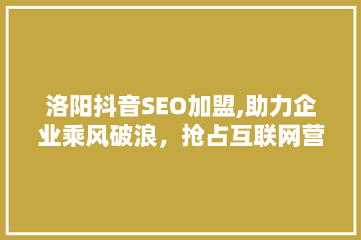 洛阳抖音SEO加盟,助力企业乘风破浪，抢占互联网营销高地 网站建设公司