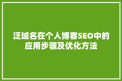 泛域名在个人博客SEO中的应用步骤及优化方法