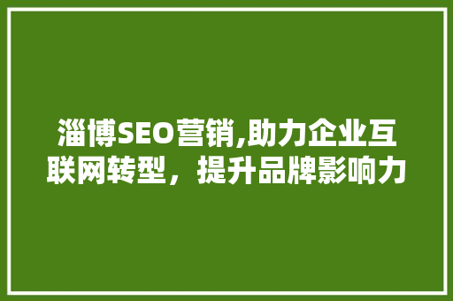 淄博SEO营销,助力企业互联网转型，提升品牌影响力 百度SEO