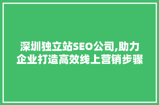 深圳独立站SEO公司,助力企业打造高效线上营销步骤 百度SEO