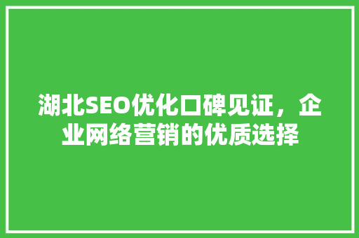 湖北SEO优化口碑见证，企业网络营销的优质选择 必应SEO