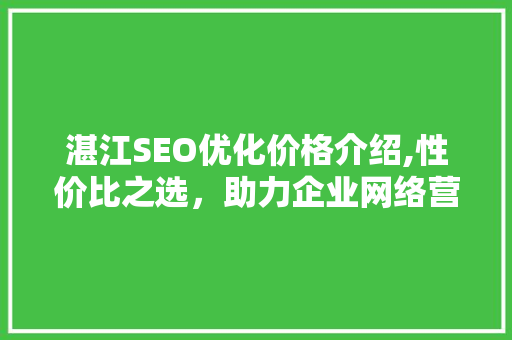 湛江SEO优化价格介绍,性价比之选，助力企业网络营销腾飞 神马SEO