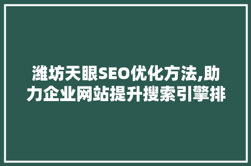 潍坊天眼SEO优化方法,助力企业网站提升搜索引擎排名 神马SEO