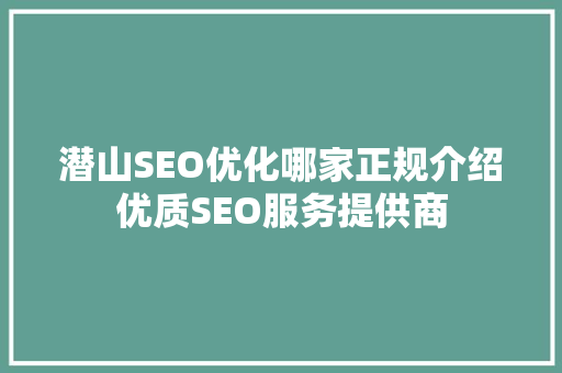 潜山SEO优化哪家正规介绍优质SEO服务提供商 SEO关键词