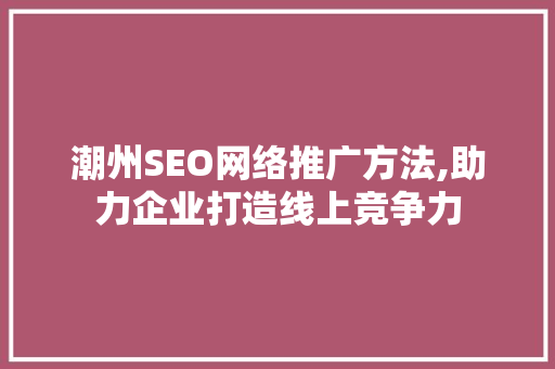 潮州SEO网络推广方法,助力企业打造线上竞争力 网站建设公司