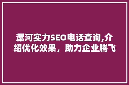 漯河实力SEO电话查询,介绍优化效果，助力企业腾飞 SEO关键词