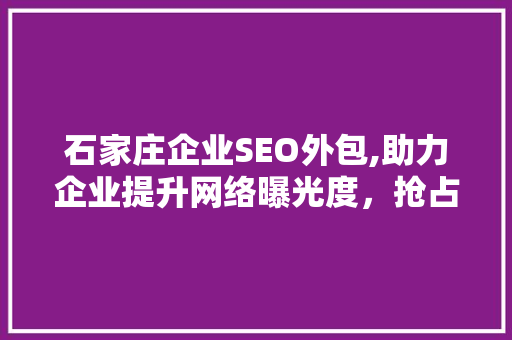 石家庄企业SEO外包,助力企业提升网络曝光度，抢占市场先机 必应SEO