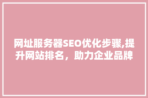 网址服务器SEO优化步骤,提升网站排名，助力企业品牌传播 必应SEO