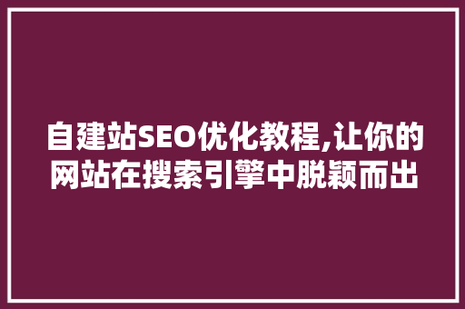 自建站SEO优化教程,让你的网站在搜索引擎中脱颖而出 SEO关键词
