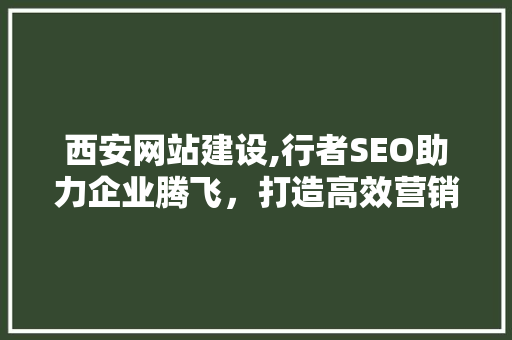西安网站建设,行者SEO助力企业腾飞，打造高效营销新格局