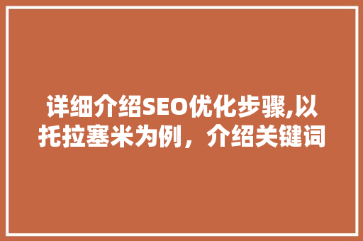 详细介绍SEO优化步骤,以托拉塞米为例，介绍关键词布局的艺术 网站建设公司