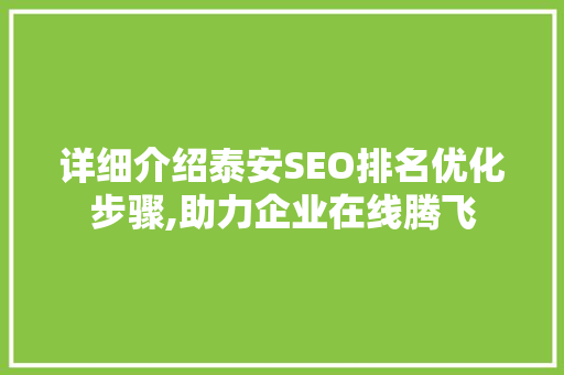详细介绍泰安SEO排名优化步骤,助力企业在线腾飞 必应SEO