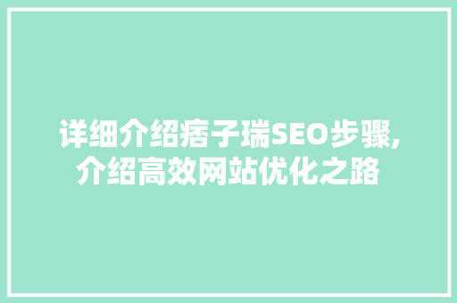 详细介绍痞子瑞SEO步骤,介绍高效网站优化之路