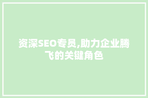 资深SEO专员,助力企业腾飞的关键角色 网站建设公司