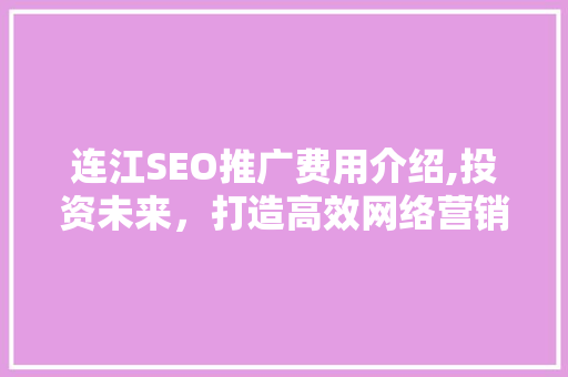 连江SEO推广费用介绍,投资未来，打造高效网络营销步骤 网站建设公司