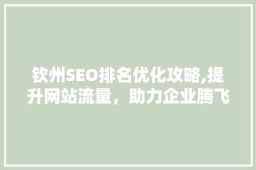 钦州SEO排名优化攻略,提升网站流量，助力企业腾飞 网站建设公司