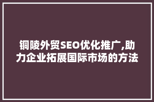 铜陵外贸SEO优化推广,助力企业拓展国际市场的方法 网站建设公司