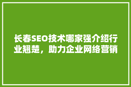 长春SEO技术哪家强介绍行业翘楚，助力企业网络营销 网站建设公司