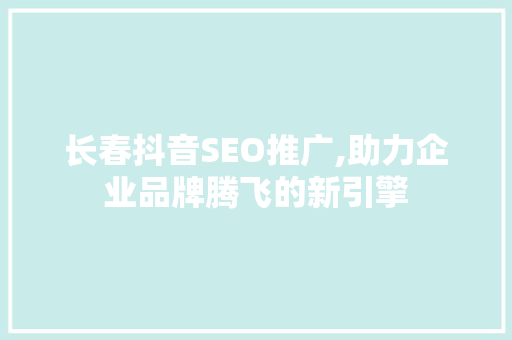 长春抖音SEO推广,助力企业品牌腾飞的新引擎 搜狗SEO