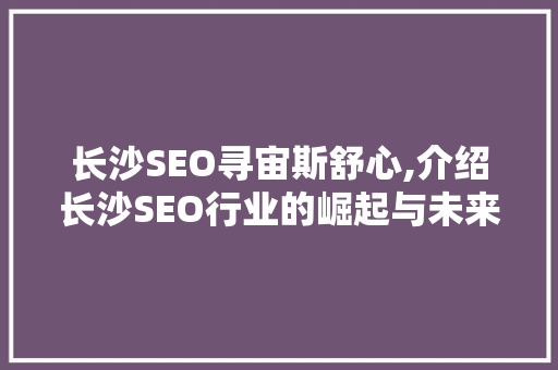 长沙SEO寻宙斯舒心,介绍长沙SEO行业的崛起与未来 百度SEO