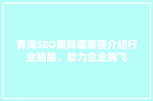 青海SEO矩阵哪家强介绍行业翘楚，助力企业腾飞 百度SEO
