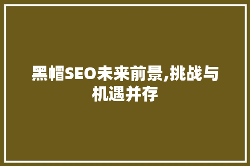 黑帽SEO未来前景,挑战与机遇并存 必应SEO