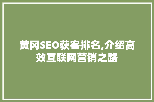 黄冈SEO获客排名,介绍高效互联网营销之路 百度SEO