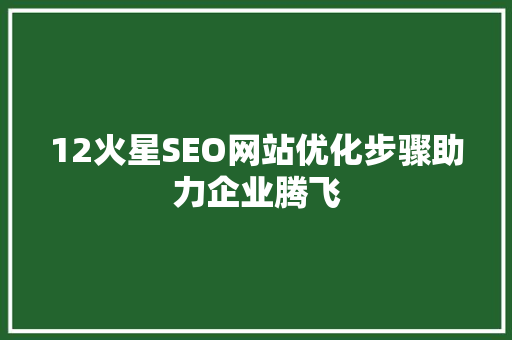 12火星SEO网站优化步骤助力企业腾飞 必应SEO