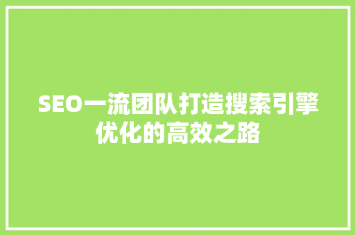 SEO一流团队打造搜索引擎优化的高效之路 百度SEO