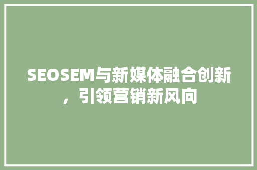 SEOSEM与新媒体融合创新，引领营销新风向 神马SEO