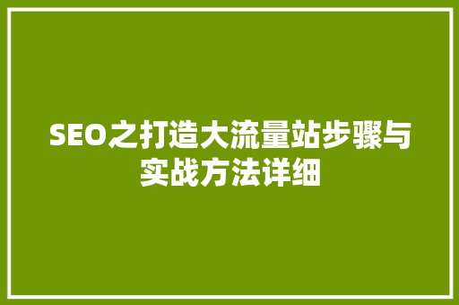 SEO之打造大流量站步骤与实战方法详细 百度SEO