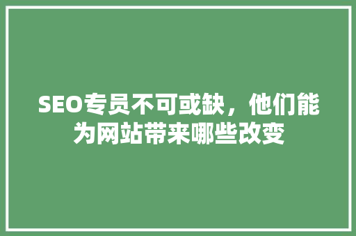 SEO专员不可或缺，他们能为网站带来哪些改变