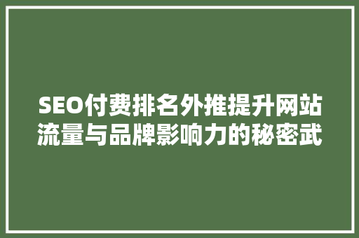 SEO付费排名外推提升网站流量与品牌影响力的秘密武器