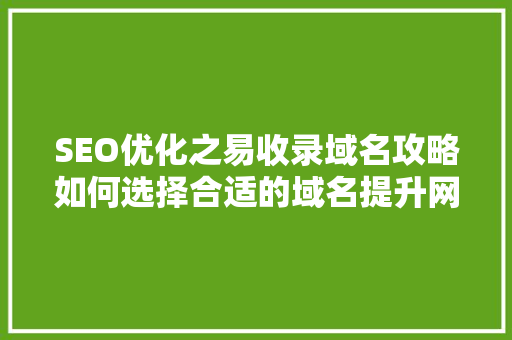 SEO优化之易收录域名攻略如何选择合适的域名提升网站排名