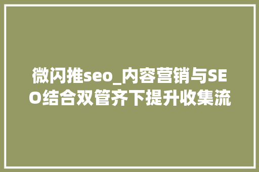 微闪推seo_内容营销与SEO结合双管齐下提升收集流量和ROI 微闪推seo_内容营销与SEO结合双管齐下提升收集流量和ROI 网站建设公司