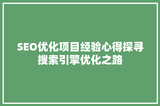 SEO优化项目经验心得探寻搜索引擎优化之路 SEO关键词