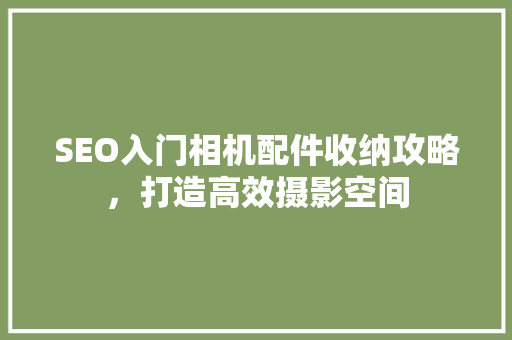 SEO入门相机配件收纳攻略，打造高效摄影空间 SEO关键词