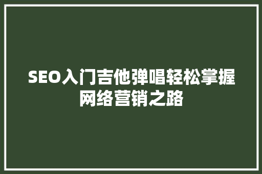 SEO入门吉他弹唱轻松掌握网络营销之路 SEO关键词
