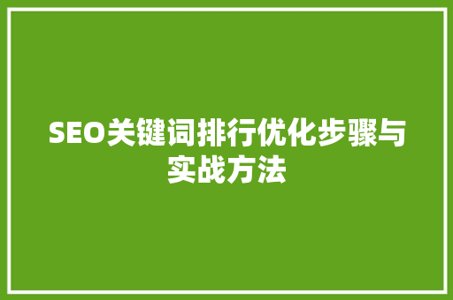 SEO关键词排行优化步骤与实战方法 SEO关键词