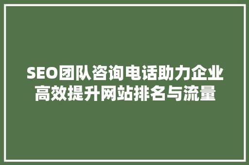 SEO团队咨询电话助力企业高效提升网站排名与流量 SEO关键词
