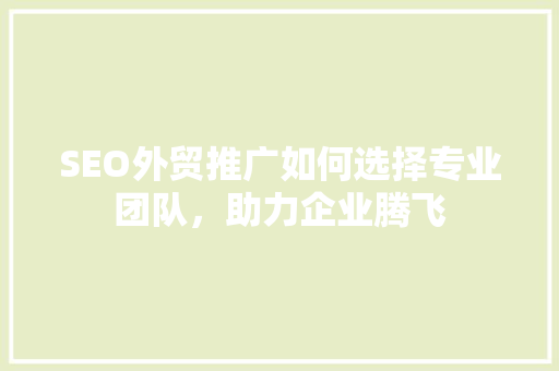 SEO外贸推广如何选择专业团队，助力企业腾飞 神马SEO